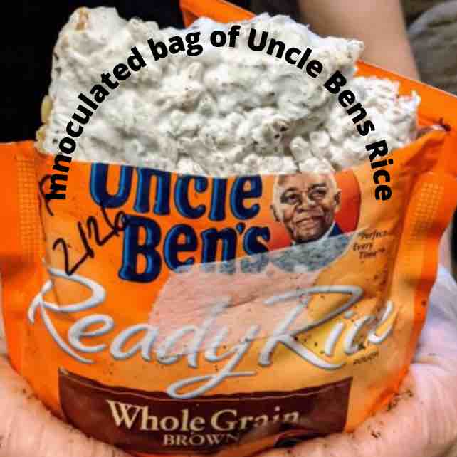 Uncle Ben’s Tek part 2