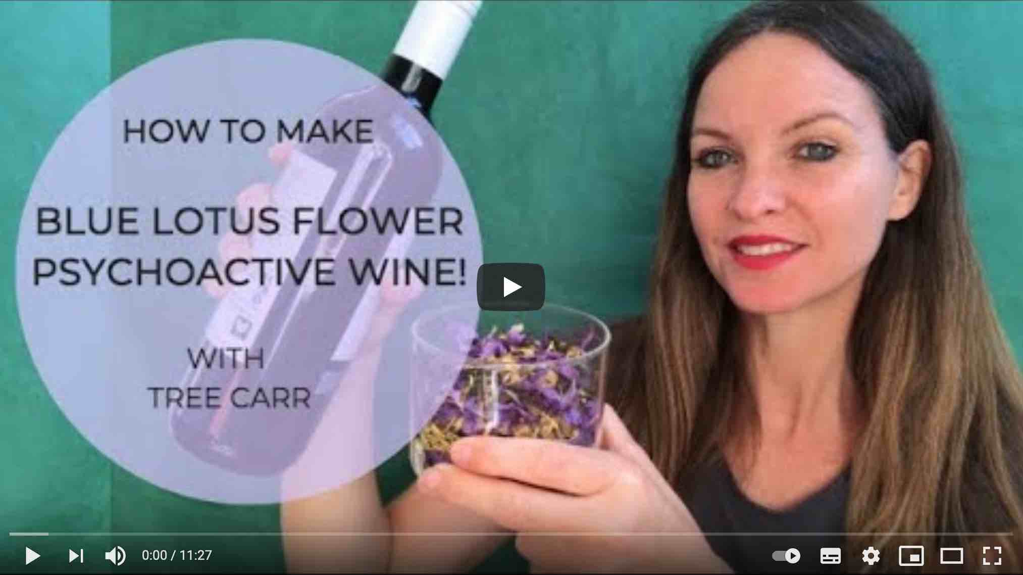 How to make Blue Lotus Flower psychoactive wine!