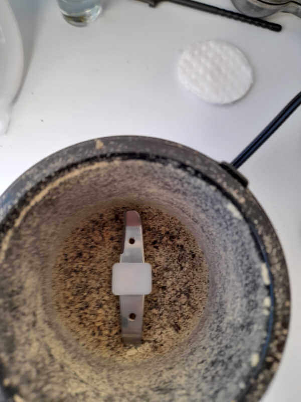 coffee grinder powdered morning glory seeds
