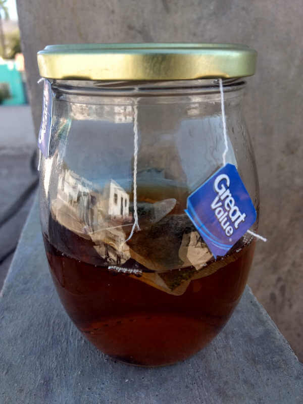 mint tea for morning glory seed recipe