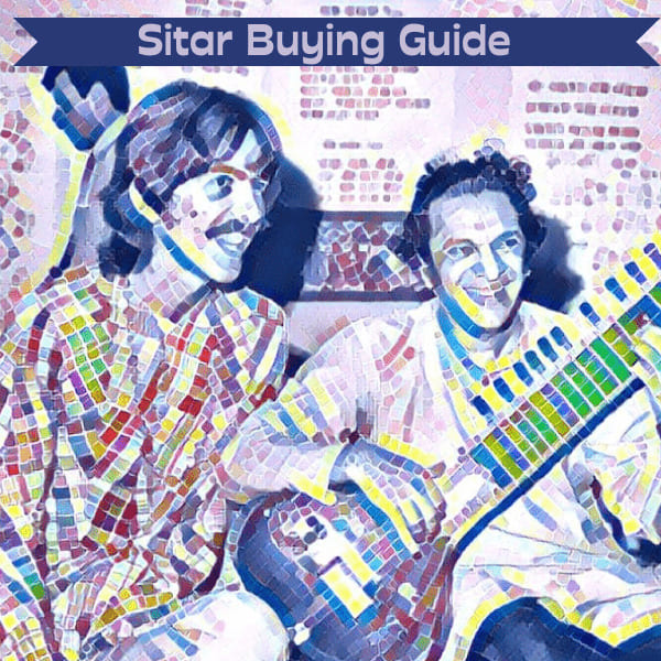 Sitar Buying Guide